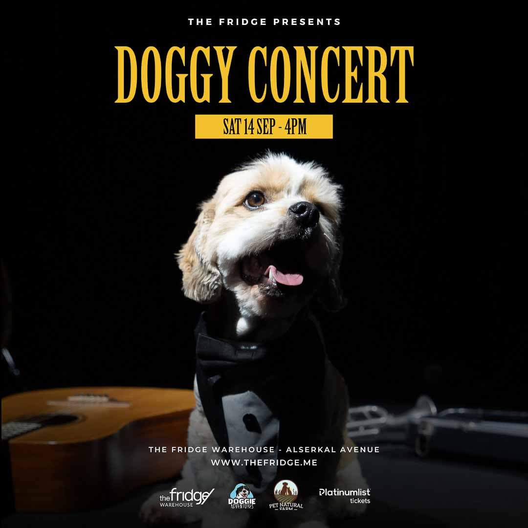 The fridge presents 'DOGGY CONCERT'